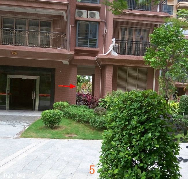 门外奇异的“黑白照片”