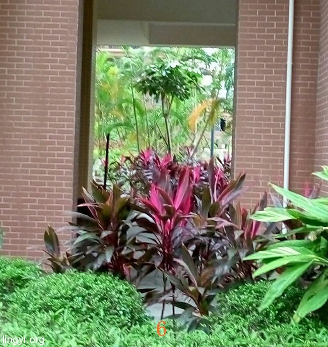 门外奇异的“黑白照片”