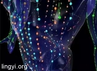 走进场生命世界  第二十七章 揭开人体经络的奥秘