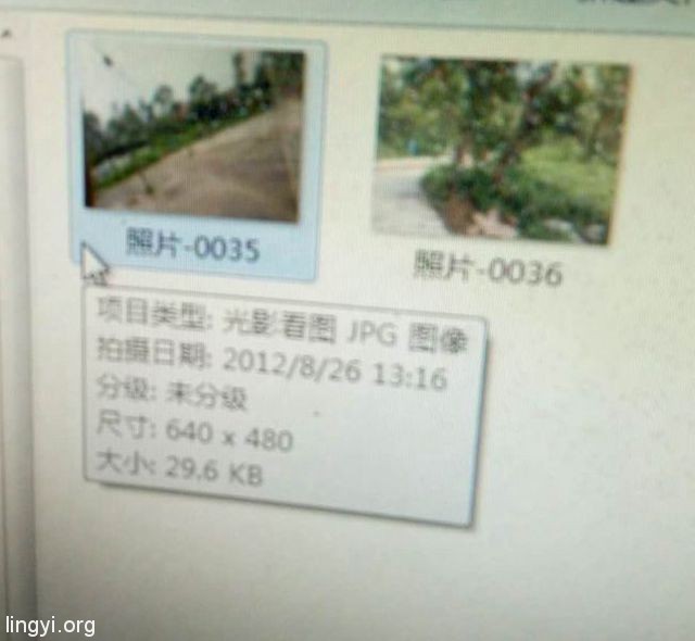 我书房里的灵异客