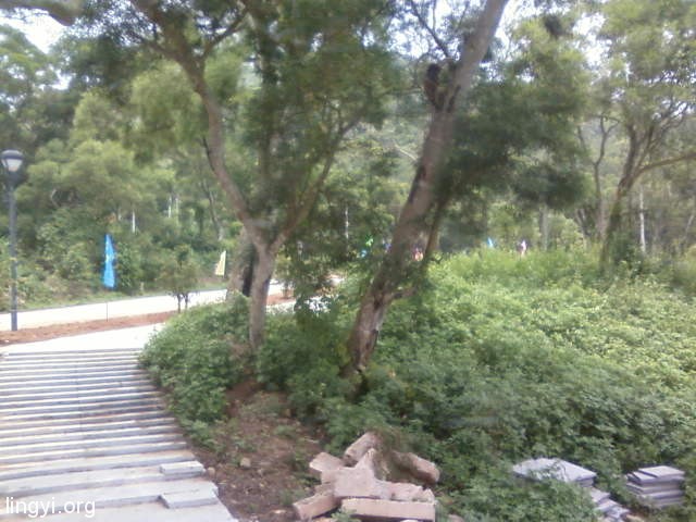 我书房里的灵异客