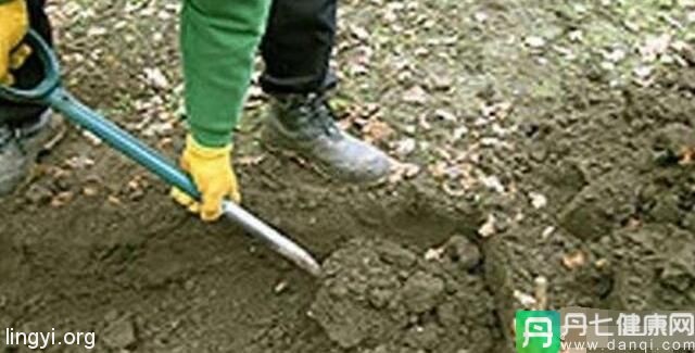 3岁男孩找到自己前世的尸体，破解谋杀谜案！!