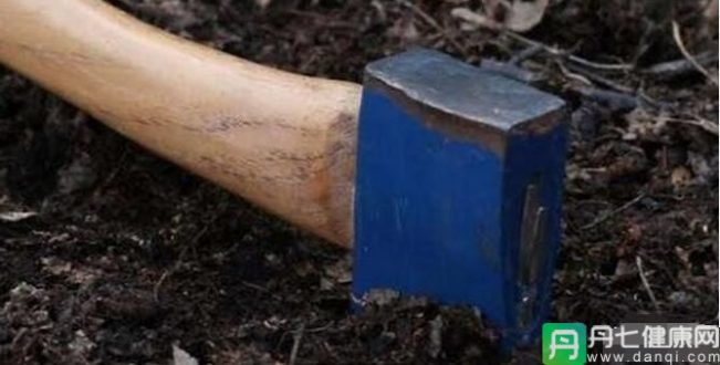 3岁男孩找到自己前世的尸体，破解谋杀谜案！!