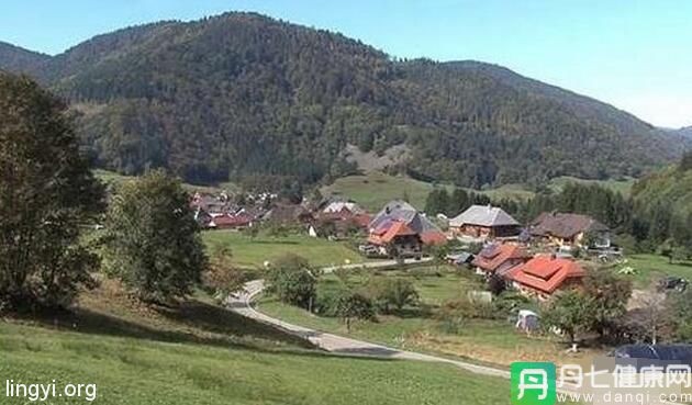 3岁男孩找到自己前世的尸体，破解谋杀谜案！!