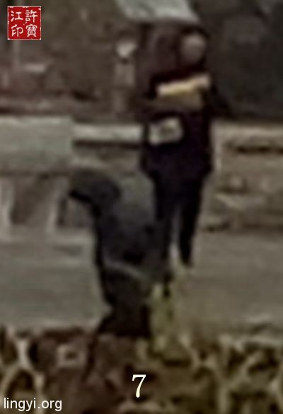 震撼:岭南圣母(冼太夫人)故里灵异特展(四)