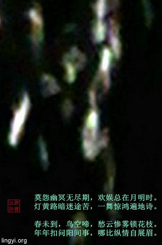  鹧鸪天·双灵舞