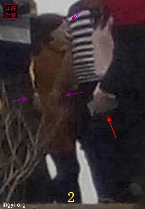 人神共乐——大年初一特拍（A）