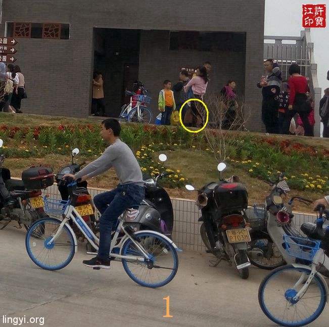 人神共乐——大年初一特拍(B)