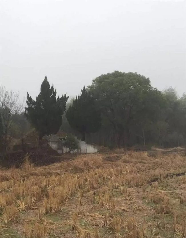 【探灵记】嵊州清晨魂影