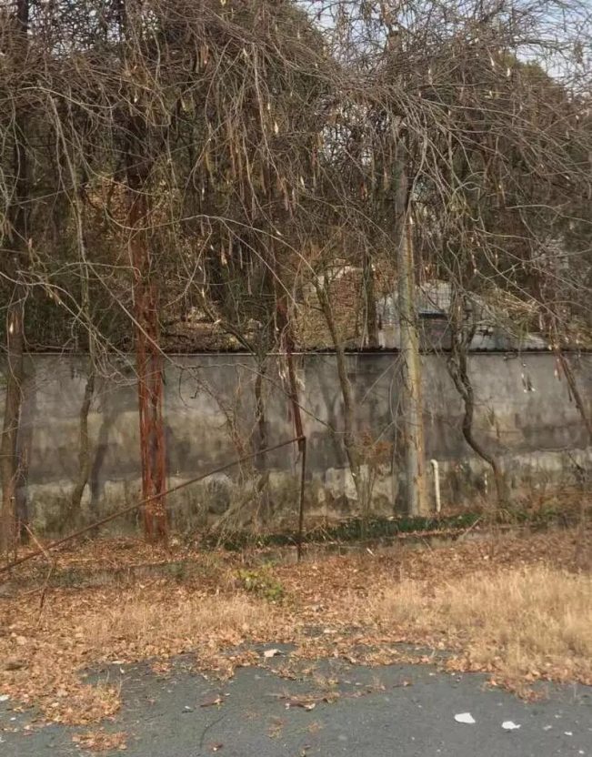 【探灵记】张墅咒怨