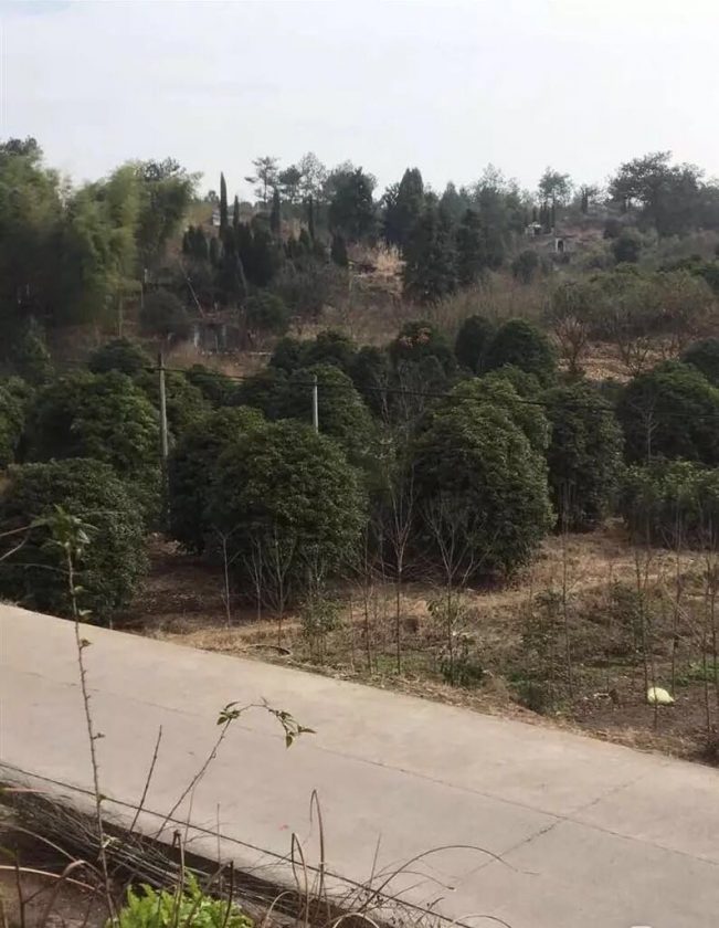 (真实)嵊州长乐狩猎者遇鬼记