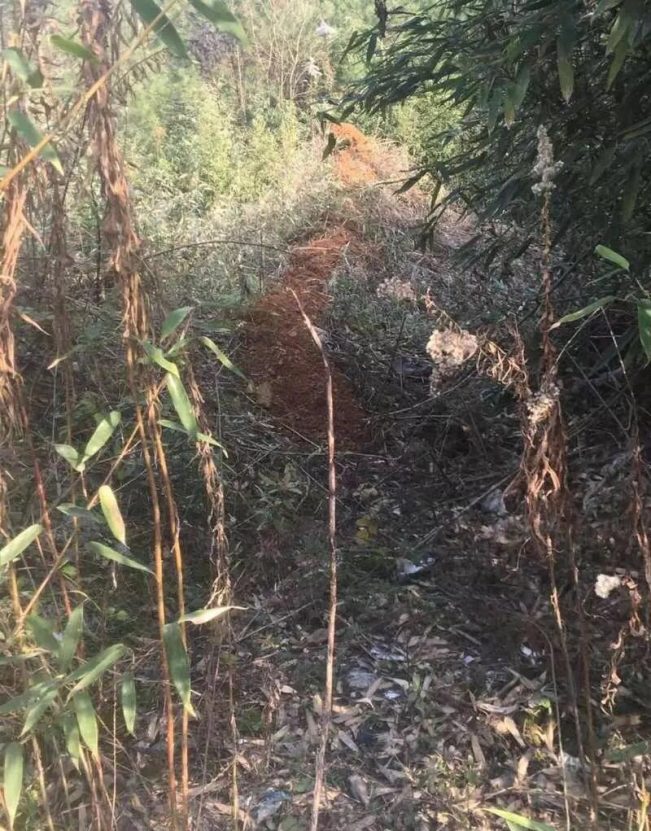 (真实)嵊州打铁岭道人招魂抓鬼实录