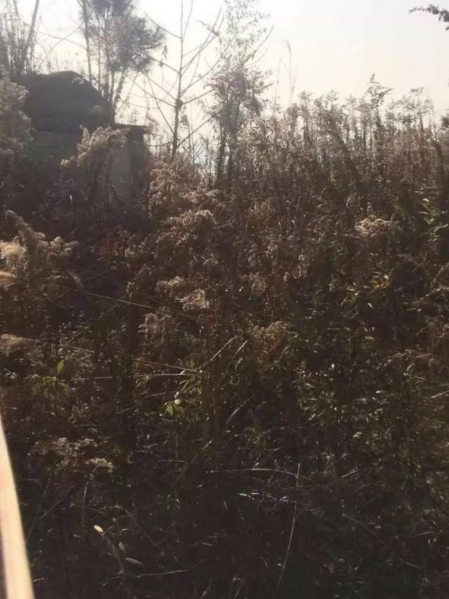 (真实)嵊州打铁岭道人招魂抓鬼实录