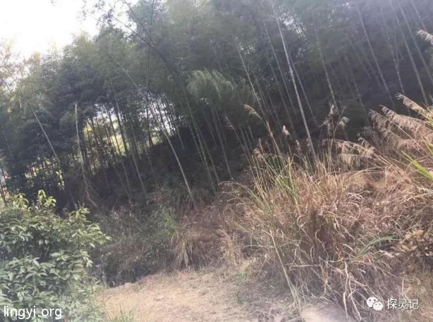 （真实）那一条绳子