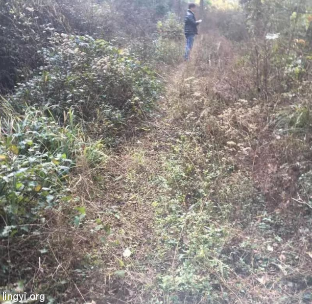 （真实）那一条绳子