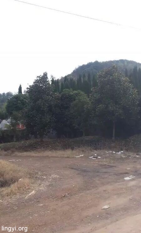 ️【探灵记】之轿