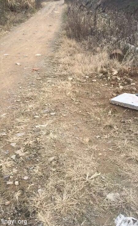 ️【探灵记】之轿