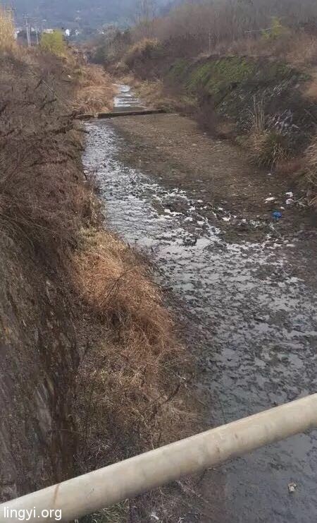 ️【探灵记】之轿