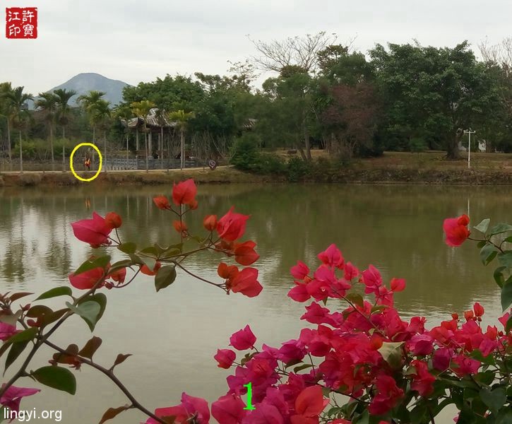 震撼:岭南圣母(冼太夫人)故里灵异特展(七)