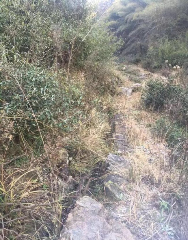 (真实)嵊州解密鬼打墙