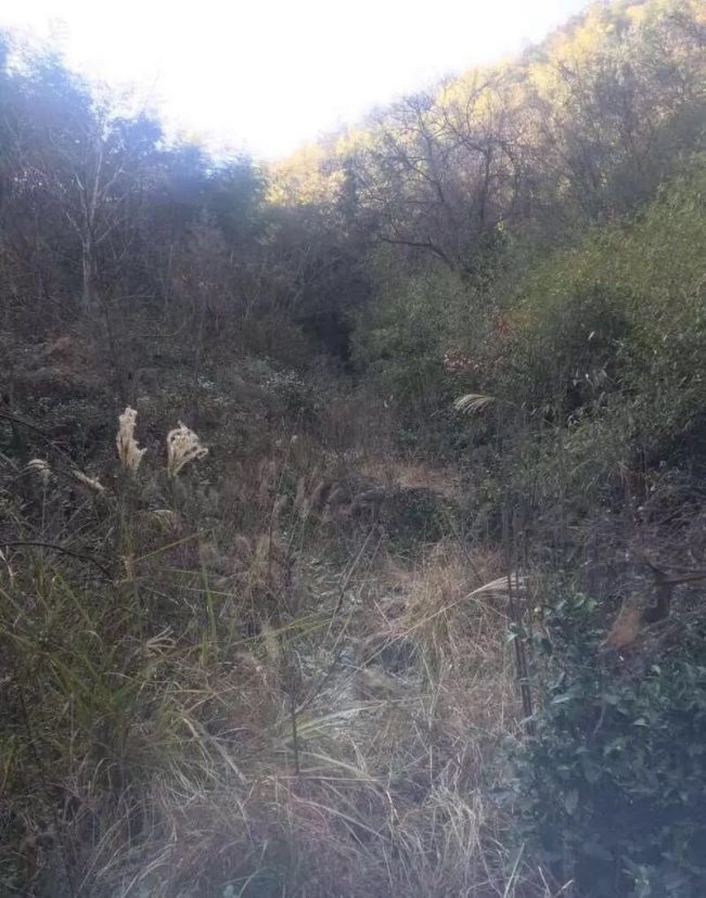 (真实)嵊州解密鬼打墙