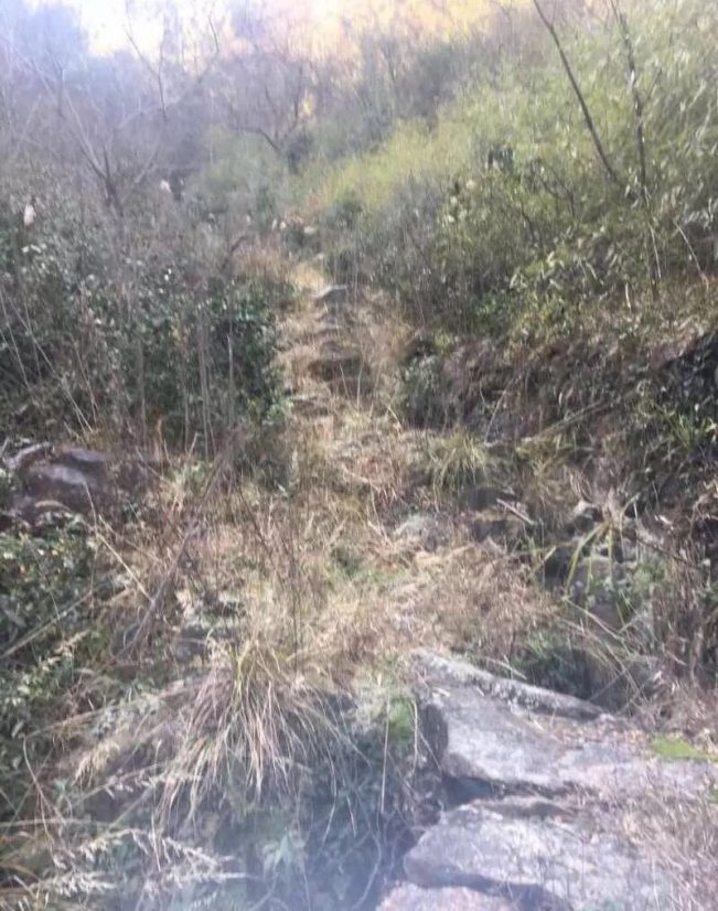 (真实)嵊州解密鬼打墙