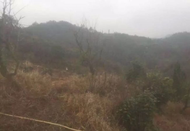 (真实)嵊州橘子山凶宅