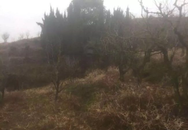 (真实)嵊州橘子山凶宅