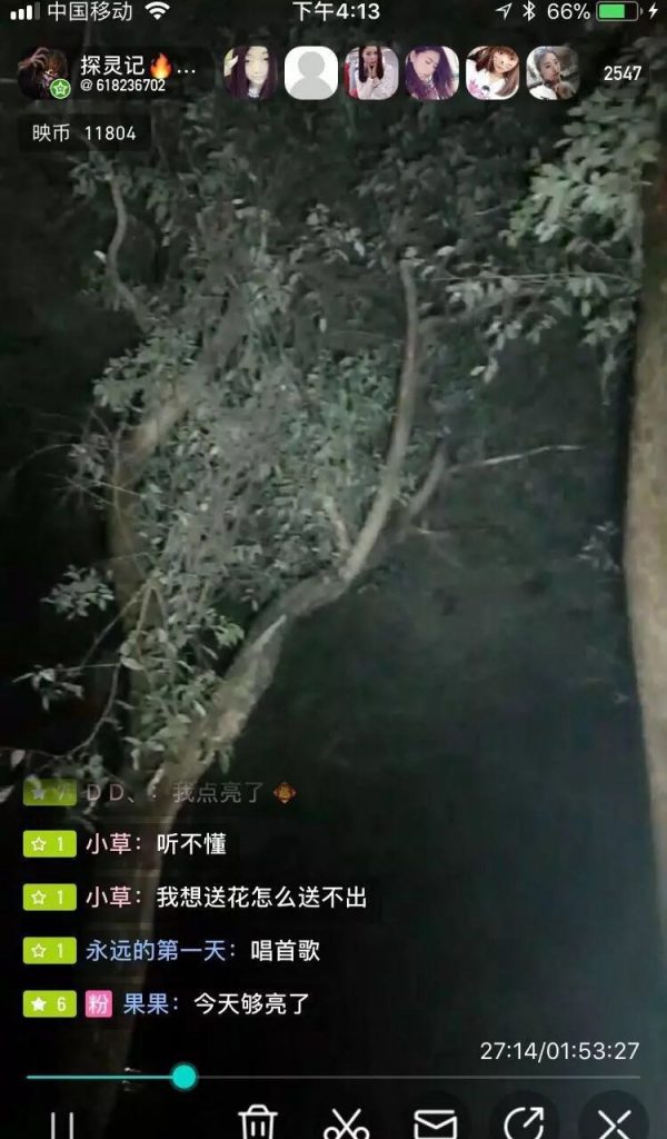 【探灵记】神秘乌枝树上