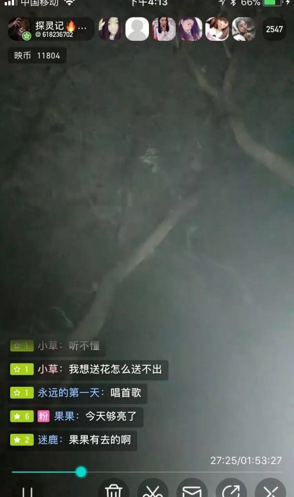 【探灵记】神秘乌枝树上