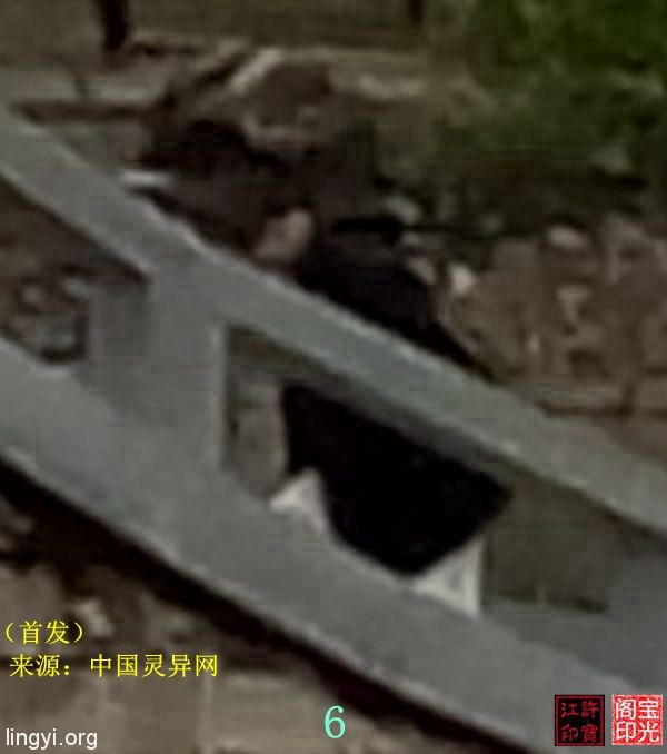 震撼：岭南圣母（冼太夫人）故里灵异特展（八）