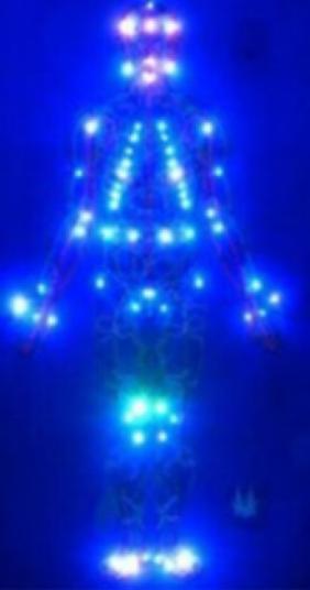 走进场生命世界 第二十九章   癌症的新发现及防治