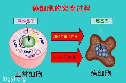 走进场生命世界 第二十九章   癌症的新发现及防治