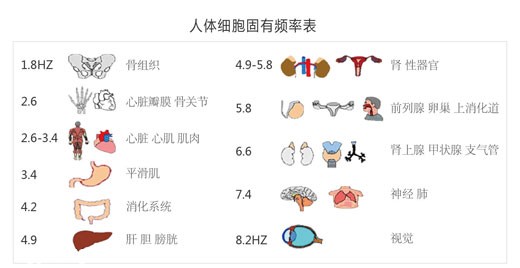 走进场生命世界 第二十九章   癌症的新发现及防治