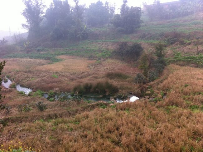 老辈们讲的离奇故事