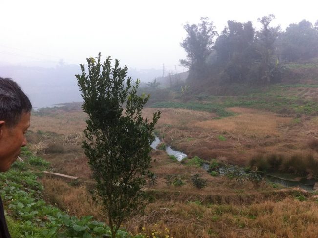 老辈们讲的离奇故事