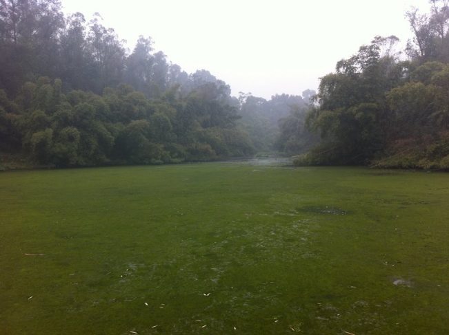 老辈们讲的离奇故事