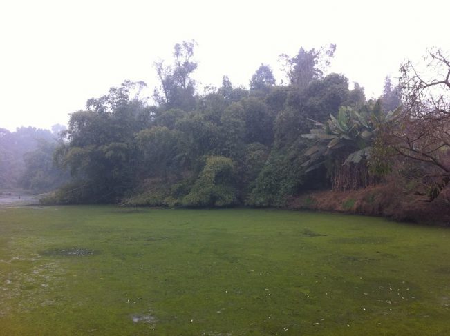 老辈们讲的离奇故事