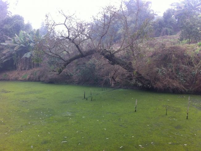 老辈们讲的离奇故事