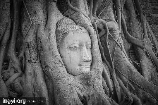 多年疑惑31——《我的排长》