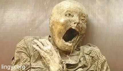 多年疑惑十七——《那朵花》