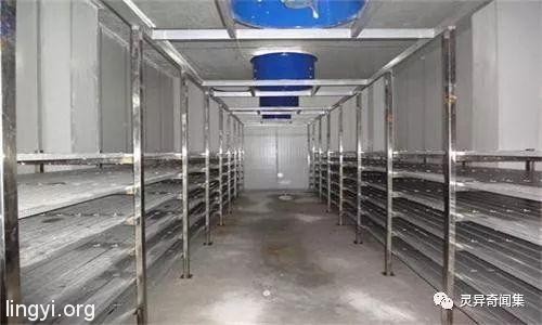 恐怖的澳洲“指骨术”