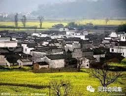 尸吻——回乡，居然有阿婆宣传亲吻尸体可得道成仙