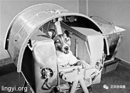 绝密!前苏联宇航员在太空的灵异经历 绝密!前苏联宇航员在太空的灵异经历