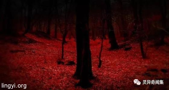 绝密!前苏联宇航员在太空的灵异经历 绝密!前苏联宇航员在太空的灵异经历