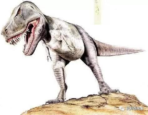 绝密!前苏联宇航员在太空的灵异经历 绝密!前苏联宇航员在太空的灵异经历