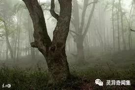 尸吻——回乡，居然有阿婆宣传亲吻尸体可得道成仙