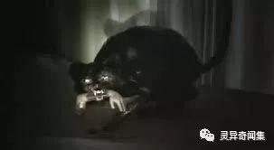 「禁忌常识」家里会闹鬼的几种征兆 「禁忌常识」家里会闹鬼的几种征兆