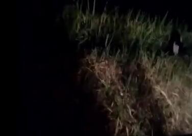 凉山彝族自治州田间拍到小鬼