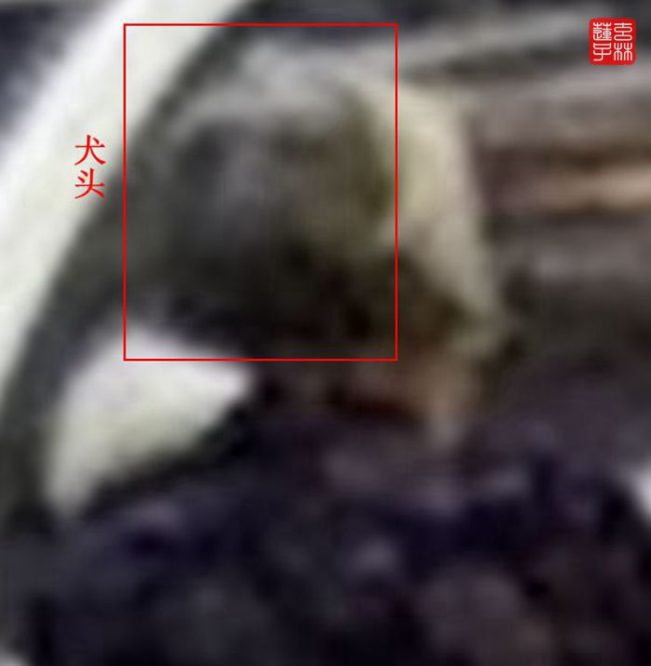 灵异照片：脸在项背的怪老头